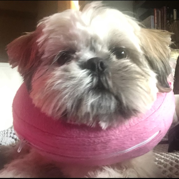 HUGE SALE IN PROGRESS.... 🤍🤍 - Picture 6 of 8